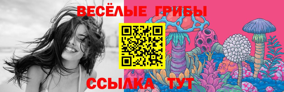 Симферополь  Галлюциногенные грибы Magic Shrooms  Вход с VPN  Псилоцибиновые грибы Psilocybine cubensis 
